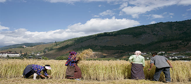 Glimpse of Bhutan